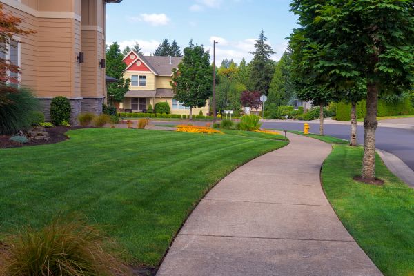 Cost of Sidewalk Patching in Cedar Falls