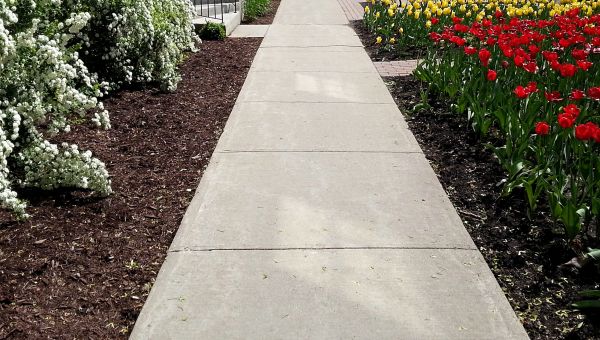 Cost of Concrete Pathway Repair in Cedar Falls