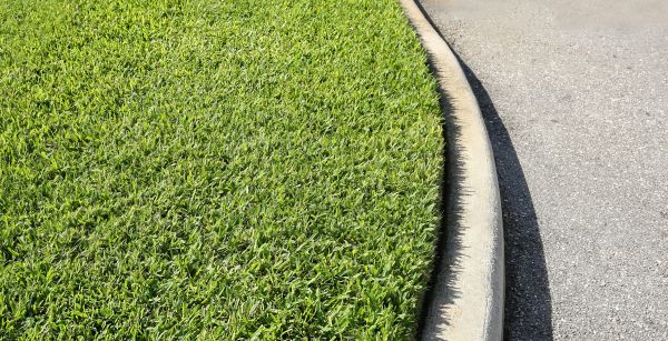 Driveway Curb Repair in Cedar Falls